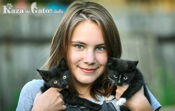 Foto de Niña sonriente con dos gatos cachorros en brazo. Los gatos más cariñosos del mundo.